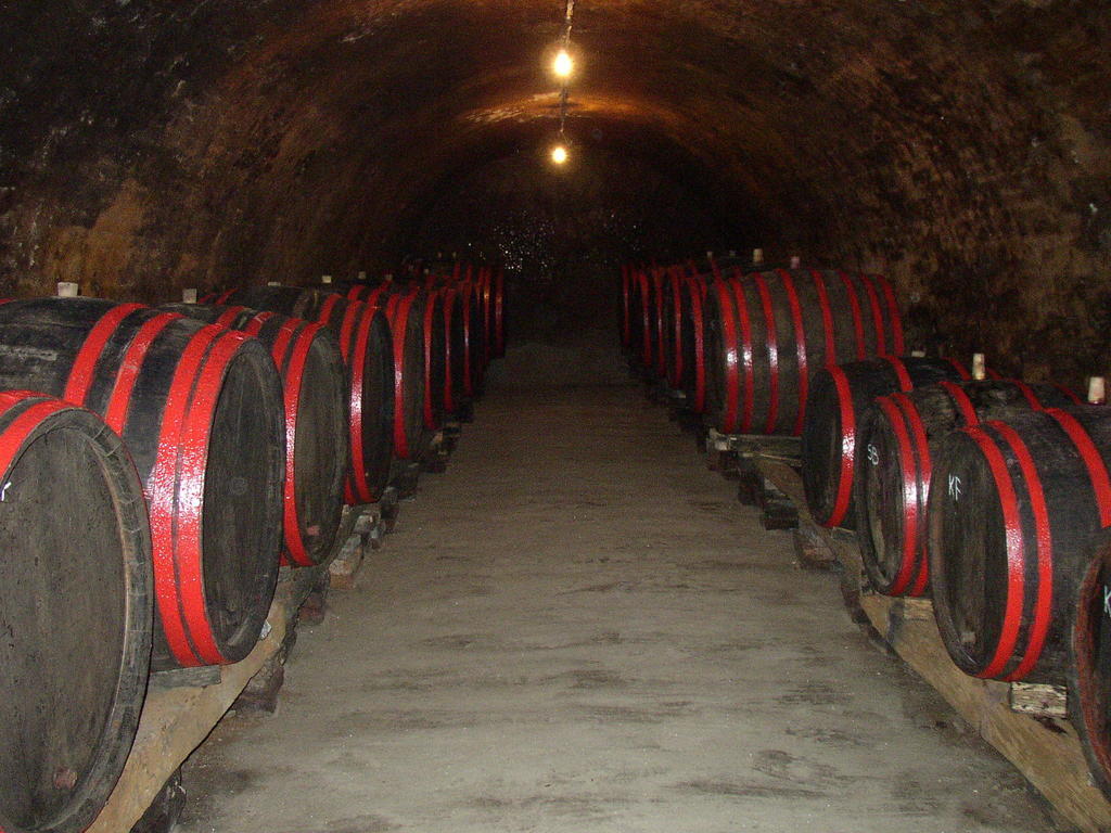 Podrumi Kolar "Suza Baranje" Kneževi Vinogradi Exterior foto